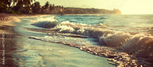 Tropical beach with sunlit ...