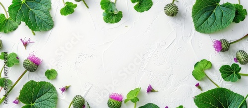 Top view of vibrant green b...