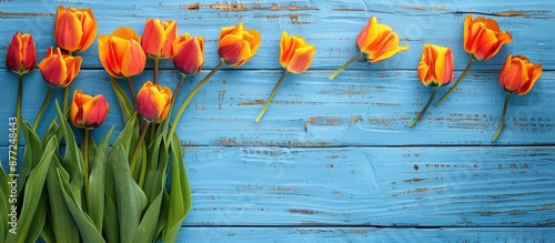 Tulips in orange and yellow...