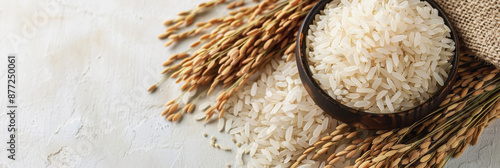 World Rice Day. rice harvesting. a handful of rice