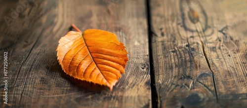 Dry leaf on the table showc...