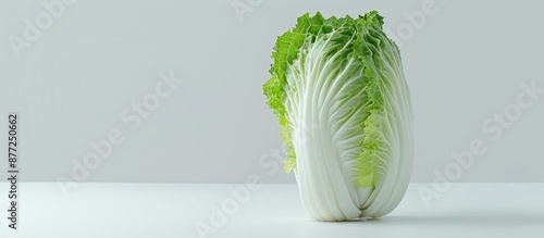Chinese cabbage displayed w...
