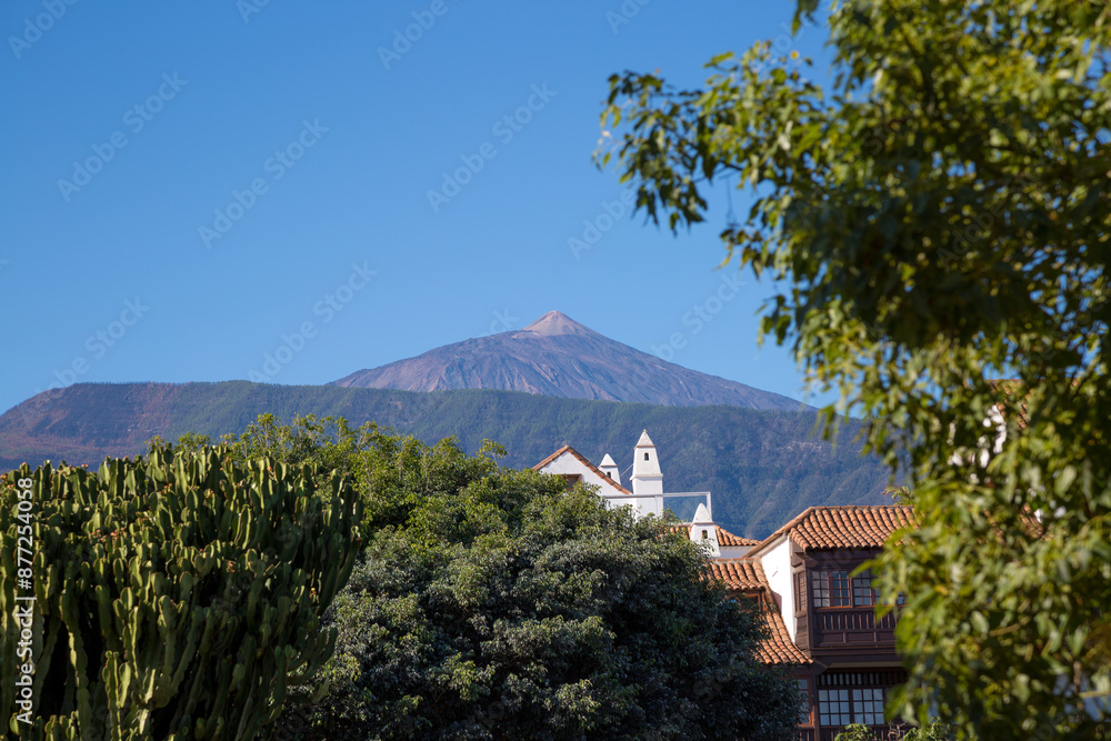 Fototapeta premium Panorama montano estivo con cielo sereno e abitazioni con alberi