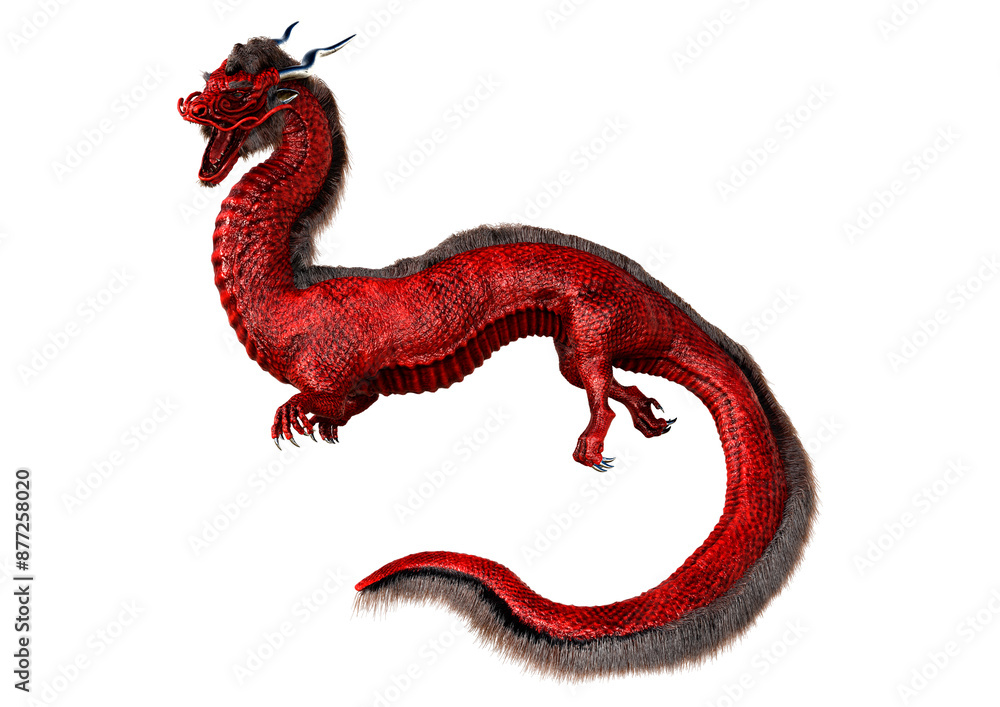Obraz premium 3D Rendering Eastern Dragon on White