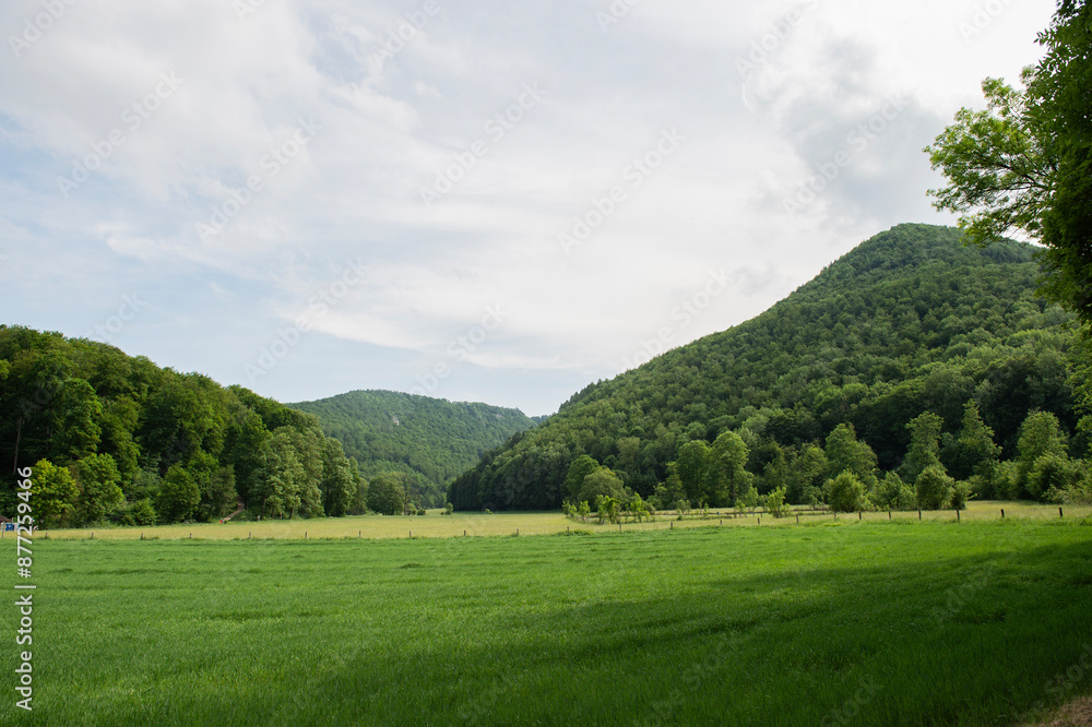 Blick in die Landschaft der Neckar Region Blick in die Landschaft der Neckar Region