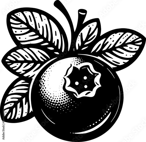 Blueberry Fruit icon 7