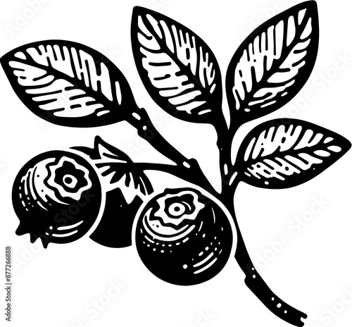 Blueberry Fruit icon 10