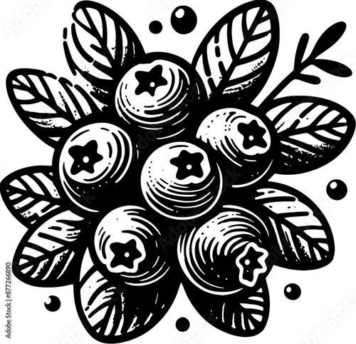 Blueberry Fruit icon 9