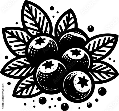 Blueberry Fruit icon 8