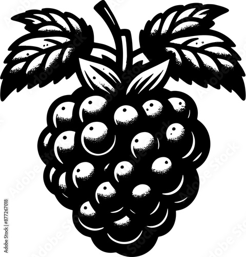 Boysenberry Fruit icon 9
