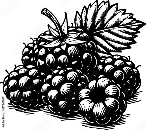 Boysenberry Fruit icon 11