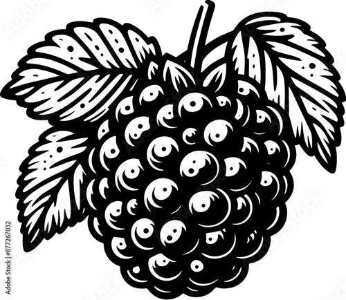 Boysenberry Fruit icon 12