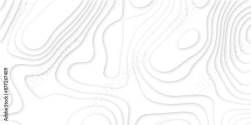 Abstract papercut multi layers background. 3D topographic pattern banner design. White papercut wave background design. Vector illustration.