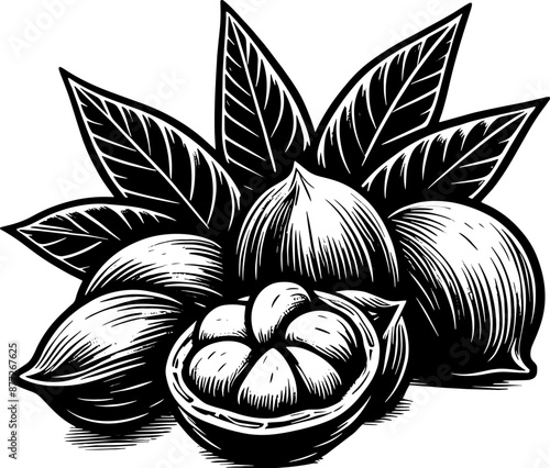 Breadnut Fruit icon 4