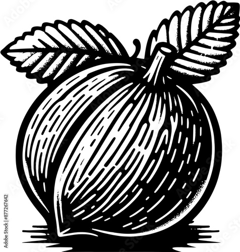 Breadnut Fruit icon 6