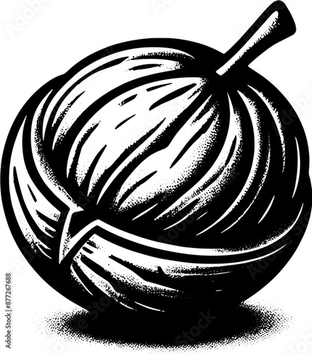 Breadnut Fruit icon 8