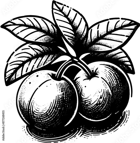 Camu Camu Fruit icon 7