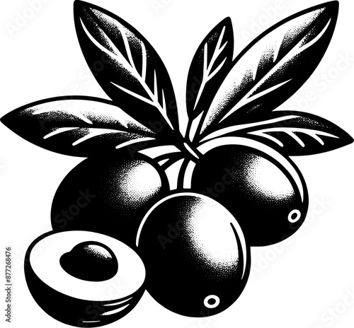 Camu Camu Fruit icon 13