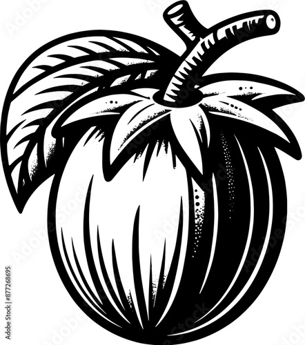 Canistel Eggfruit icon 14