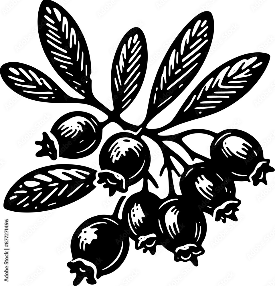 Obraz premium Crowberry Fruit icon 12