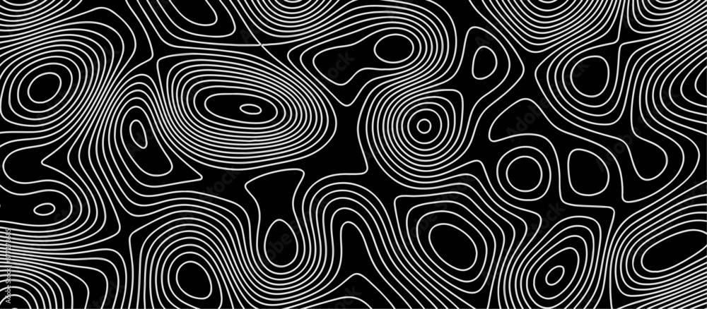 Abstract black background paper cut style with white wave curve line Luxury concept. Panorama view topography map contour background. Vector illustration. Line topography map contour background. Abstract black background paper cut style with white wave curve line Luxury concept. Panorama view topography map contour background. Vector illustration. Line topography map contour background.