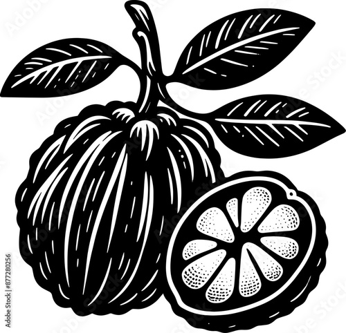 Abiu Fruit icon 2