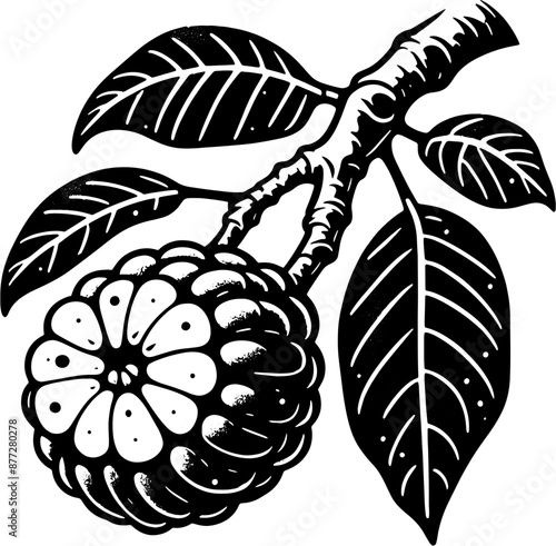 Abiu Fruit icon 1