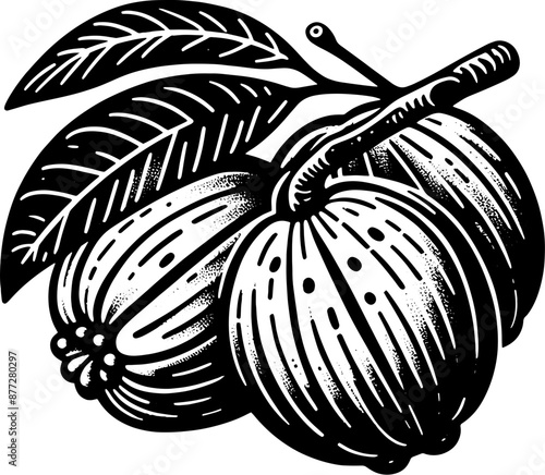 Abiu Fruit icon 4