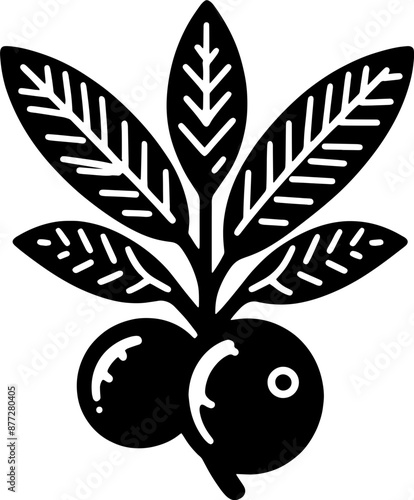 Acai Berry Fruit icon 7