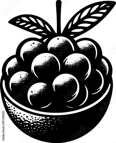 Acai Berry Fruit icon 6