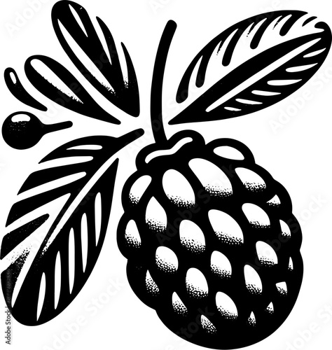 Acai Berry Fruit icon 4