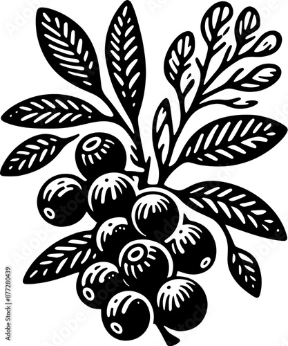 Acai Berry Fruit icon 11