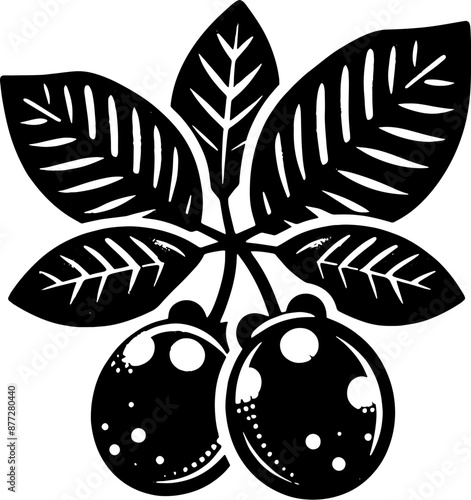 Acai Berry Fruit icon 9
