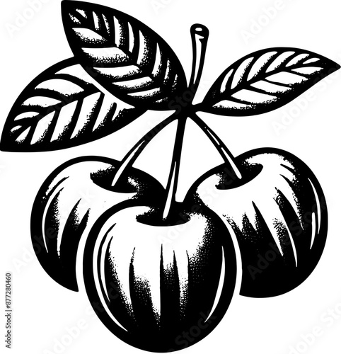 Acerola Barbados Cherry Fruit icon 1