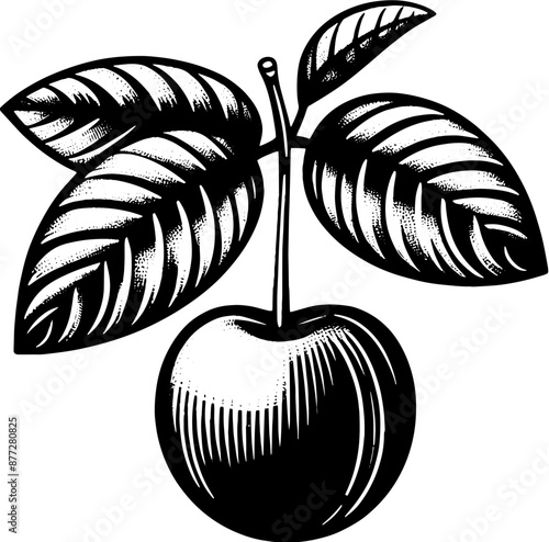 Acerola Barbados Cherry Fruit icon 11