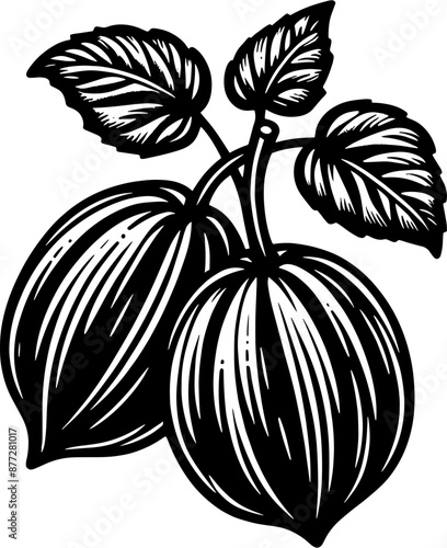 Achacha Fruit icon 13