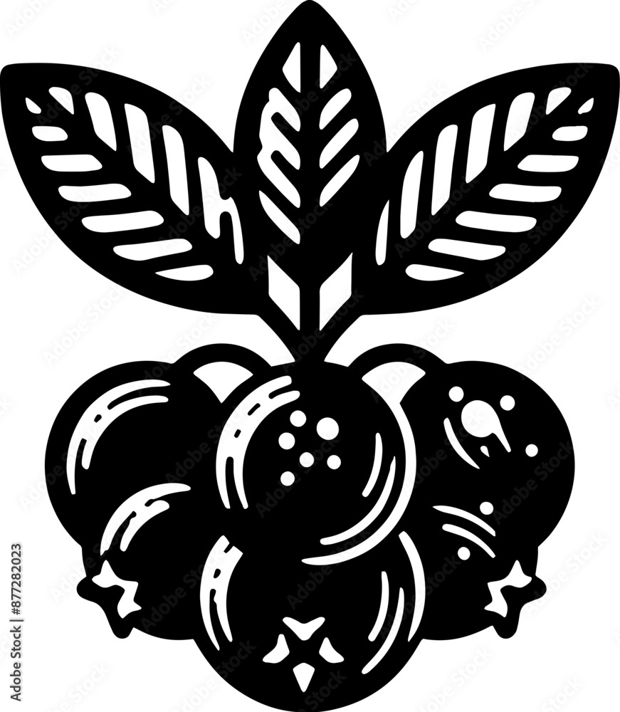 Aronia Berry Fruit icon 2 Aronia Berry Fruit icon 2