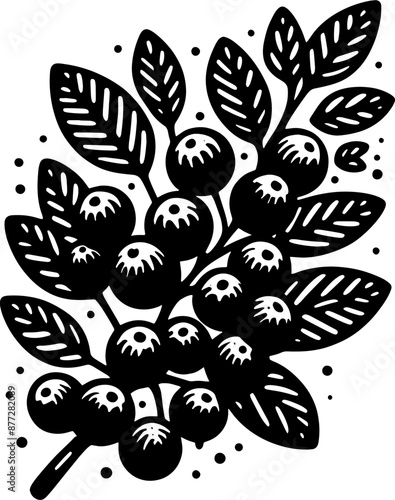 Aronia Berry Fruit icon 3