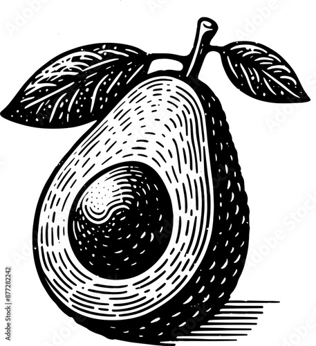 Avocado Fruit Icon 3