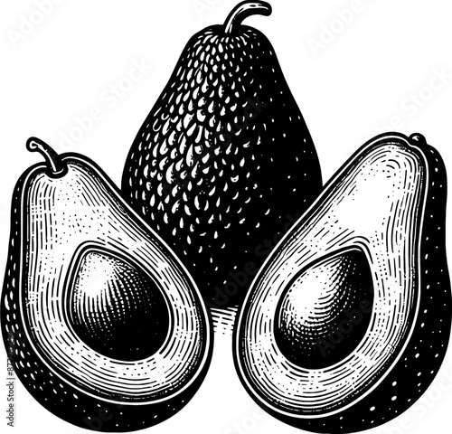 Avocado Fruit Icon 8