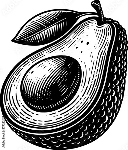 Avocado Fruit Icon 16