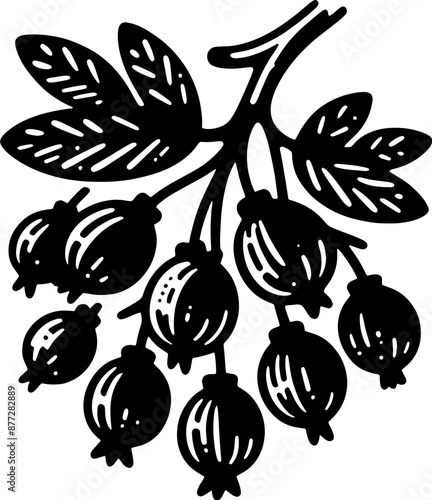 Barberry Fruit icon 4