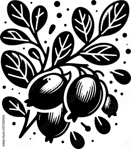 Barberry Fruit icon 12