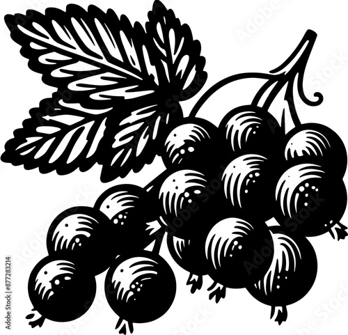 Black Currant Fruit icon 4