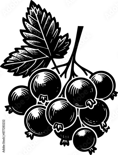 Black Currant Fruit icon 1
