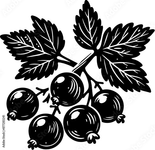 Black Currant Fruit icon 7