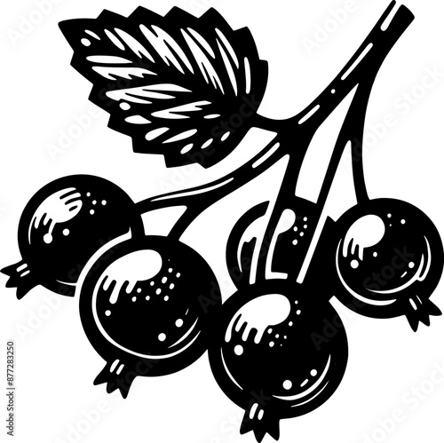 Black Currant Fruit icon 8