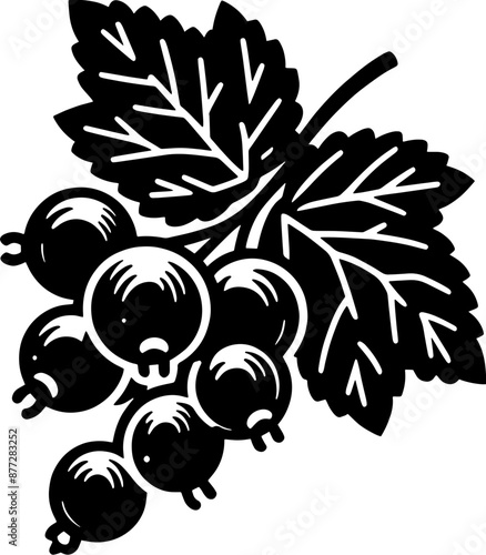 Black Currant Fruit icon 2