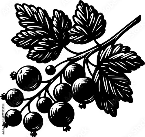 Black Currant Fruit icon 5