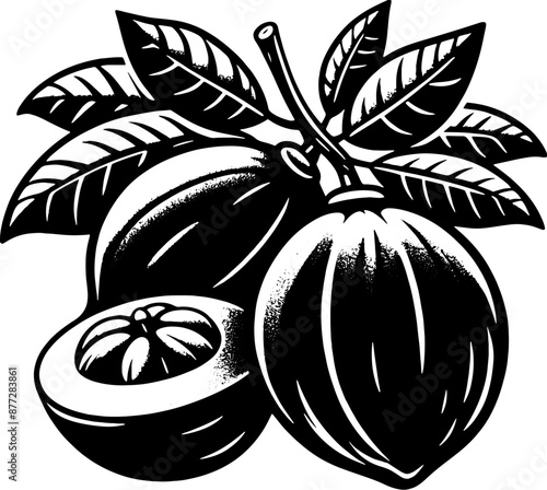 Black Sapote Fruit icon 12